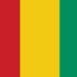 Guinea flag